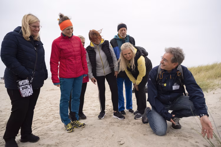 Wattwanderung in Norddeich