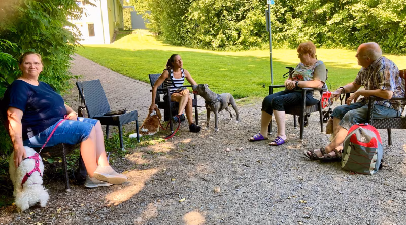 Hundetrainer