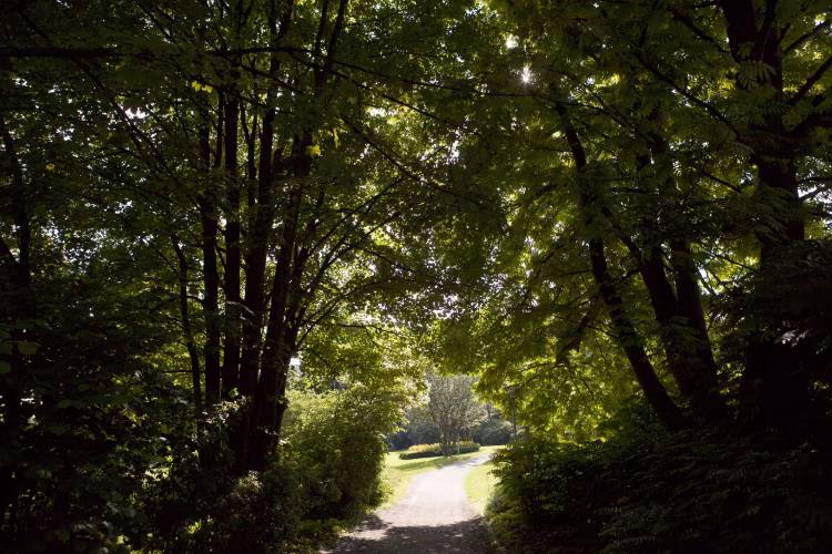 Wildpark Wiehl