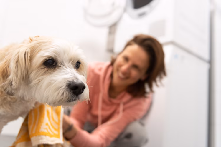 Reha mit Hund in der Dr. Becker Klinik Norddeich