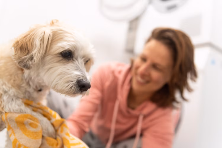 Reha mit Hund