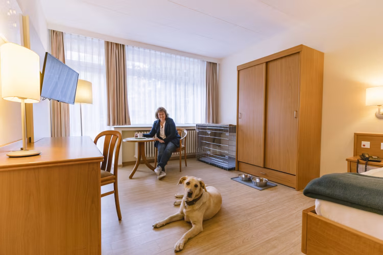 Reha mit Hund